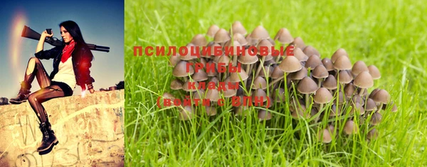 a pvp Бронницы