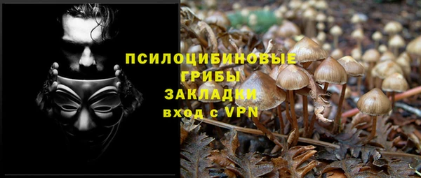 a pvp Бронницы