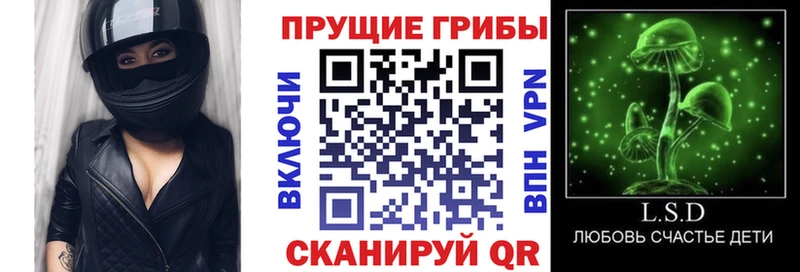 Купить  Петровск  Галлюциногенные грибы GOLDEN TEACHER 